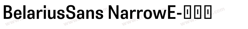 BelariusSans NarrowE字体转换 BelariusSans NarrowE字体转换